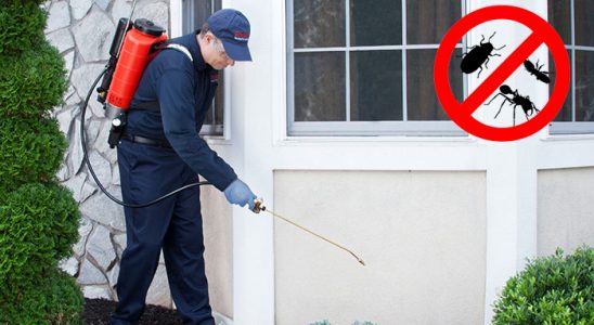 Selçuklu Dezenfeksiyon böcek ilaçlama ve haşere kontrolü — ilaclama-tr.com